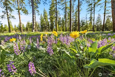 29 Wanawish Loop, Cle Elum, WA 98922 - Photo 29