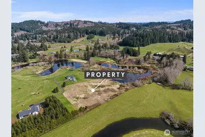 0 X Lilly Wheaton Road, Raymond, WA 98577 - Photo 3