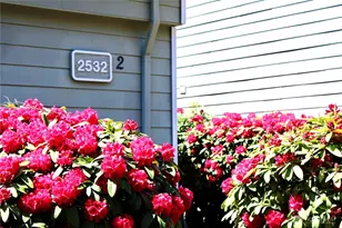 2532 S 317th St, Federal Way, WA 98003 - Photo 39