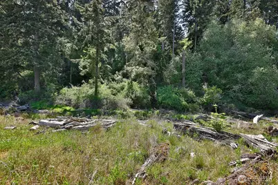 655 Race Road, Coupeville, WA 98239 - Photo 35