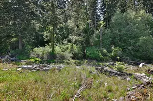 655 Race Rd, Coupeville, WA 98239 - Photo 35