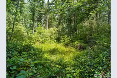 0 Eliza Road, Lopez Island, WA 98261 - Photo 5