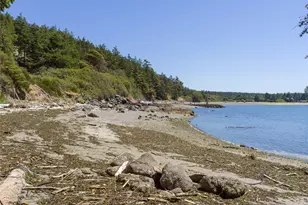 189 Calle Aguila, Lopez Island, WA 98261 - Photo 33