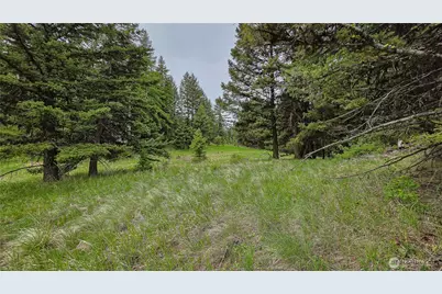 196 Tbd Davies Road, Oroville, WA 98844 - Photo 11