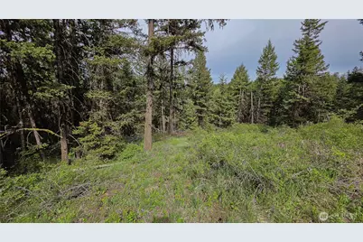 196 Tbd Davies Road, Oroville, WA 98844 - Photo 23