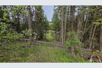 196 Tbd Davies Road, Oroville, WA 98844 - Photo 25