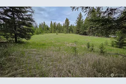 196 Tbd Davies Road, Oroville, WA 98844 - Photo 5