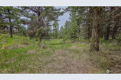 196 Tbd Davies Road, Oroville, WA 98844 - Photo 17