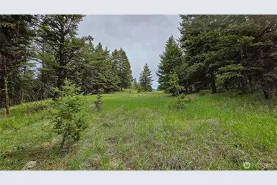 196 Tbd Davies Road, Oroville, WA 98844 - Photo 19
