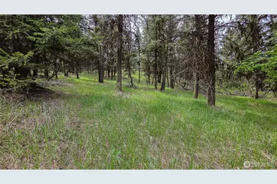 196 Tbd Davies Road, Oroville, WA 98844 - Photo 9