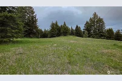 196 Tbd Davies Road, Oroville, WA 98844 - Photo 15