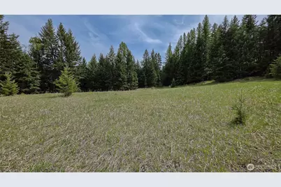 196 Tbd Davies Road, Oroville, WA 98844 - Photo 7