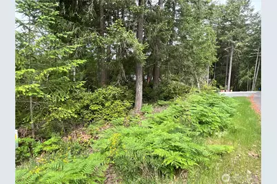 11018 Matthews Way, Anderson Island, WA 98303 - Photo 5