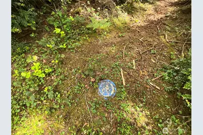 11321 Lake Josephine Avenue, Anderson Island, WA 98303 - Photo 7
