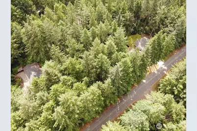 11321 Lake Josephine Avenue, Anderson Island, WA 98303 - Photo 5