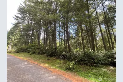 11321 Lake Josephine Avenue, Anderson Island, WA 98303 - Photo 3