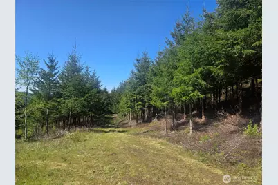 7241 W Cloquallum Road, Shelton, WA 98584 - Photo 5