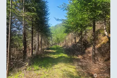 7241 W Cloquallum Road, Shelton, WA 98584 - Photo 7
