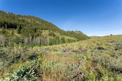 0 Tbd Alder Road, Twisp, WA 98856 - Photo 33