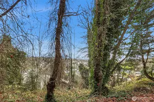 1312 15th Ave S, Seattle, WA 98144 - Photo 7