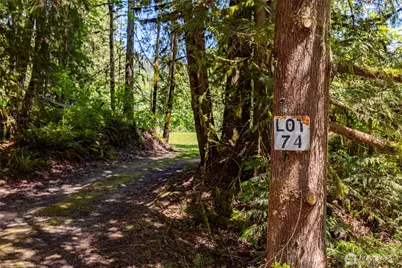 0 Lot 74 Skagit View Drive, Concrete, WA 98237 - Photo 1