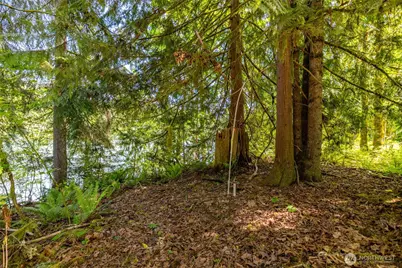 0 Lot 74 Skagit View Drive, Concrete, WA 98237 - Photo 7