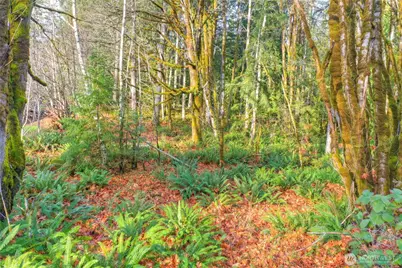 1027 Turkey Road NW, Olympia, WA 98502 - Photo 7