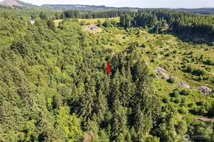 198 Burnett, Winlock, WA 98596 - Photo 25