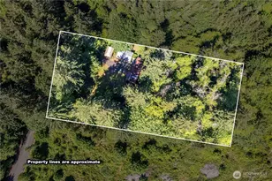 198 Burnett, Winlock, WA 98596 - Photo 3