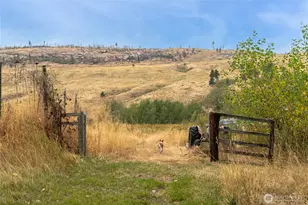 154 Knox Rd, Riverside, WA 98849 - Photo 7