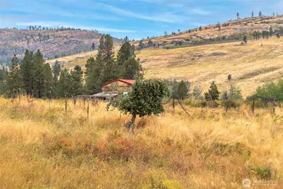154 Knox Road, Riverside, WA 98849 - Photo 23