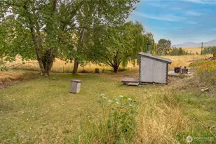 154 Knox Rd, Riverside, WA 98849 - Photo 5