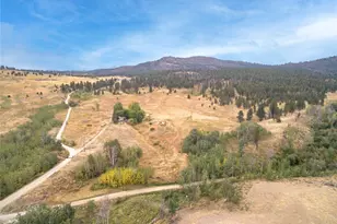 154 Knox Rd, Riverside, WA 98849 - Photo 21