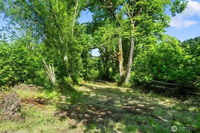 110 N Burke Road, Woodland, WA 98674 - Photo 9