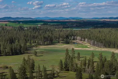 32312 North Pine Creek Road S, Spangle, WA 99031 - Photo 17