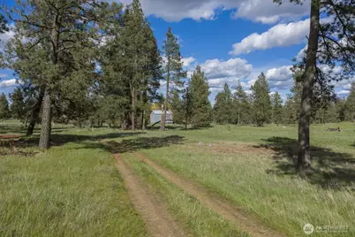 32312 North Pine Creek Road S, Spangle, WA 99031 - Photo 15