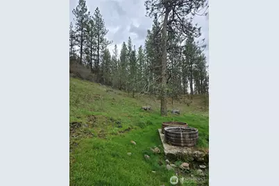 32312 North Pine Creek Road S, Spangle, WA 99031 - Photo 25