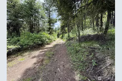 0 Lot 131 Slippery Hill Road, Republic, WA 99166 - Photo 5