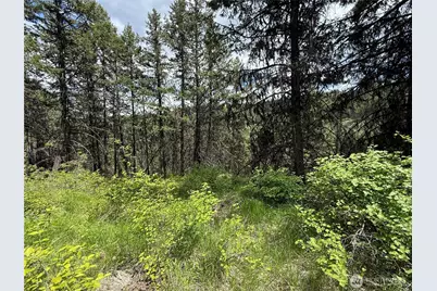 0 Lot 131 Slippery Hill Road, Republic, WA 99166 - Photo 3