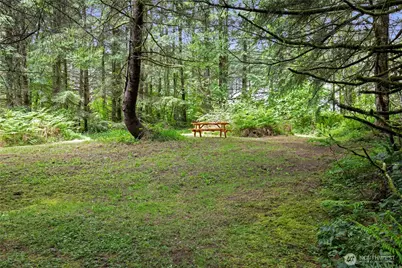 123 Lentz Rd N, Winlock, WA 98596 - Photo 31