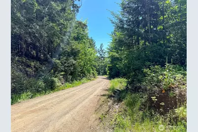 111 Xxx Rocky Brook Road, Brinnon, WA 98320 - Photo 15