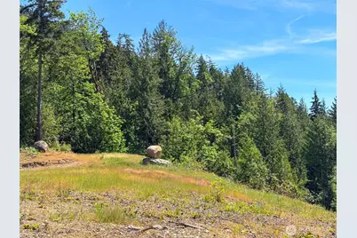 111 Xxx Rocky Brook Road, Brinnon, WA 98320 - Photo 1