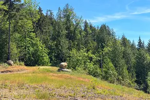 111 Xxx Rocky Brook Rd, Brinnon, WA 98320 - Photo 1