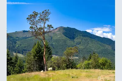 111 Xxx Rocky Brook Road, Brinnon, WA 98320 - Photo 11