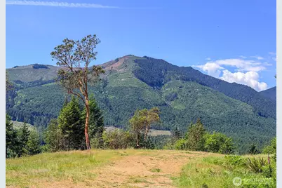 111 Xxx Rocky Brook Road, Brinnon, WA 98320 - Photo 7