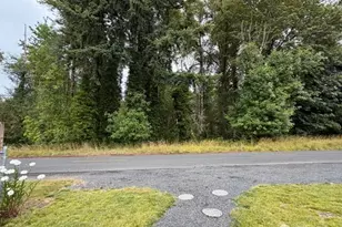 509 Monroe St, Ryderwood, WA 98581 - Photo 25