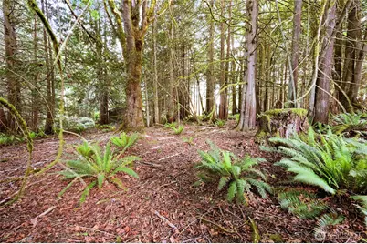 0 Rainier Lane, Port Ludlow, WA 98365 - Photo 3