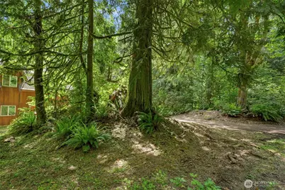 19150 312th Avenue NE, Duvall, WA 98019 - Photo 29