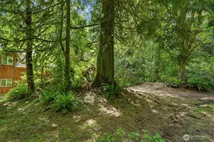 19150 312th Ave NE, Duvall, WA 98019 - Photo 29