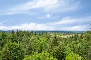 90 W Jeanne Saeger Loop, Shelton, WA 98584 - Photo 25